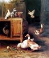 unknow artist Duck and Pigeon China oil painting art